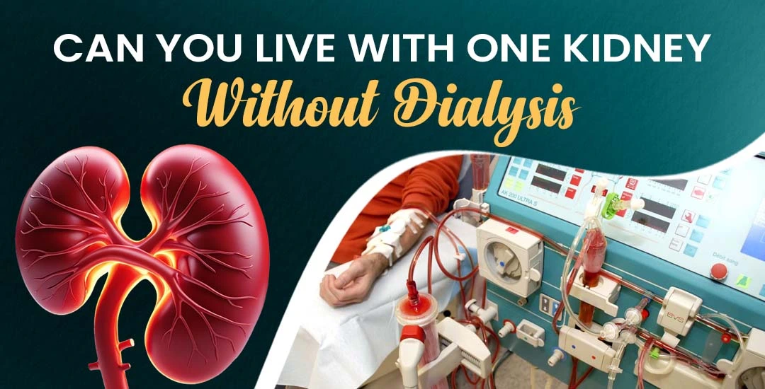 Can You Live with One Kidney Only Without Dialysis?